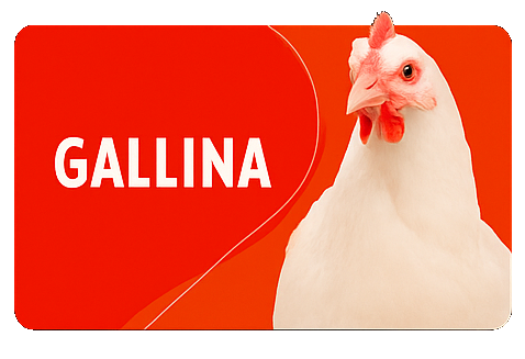 gallinas